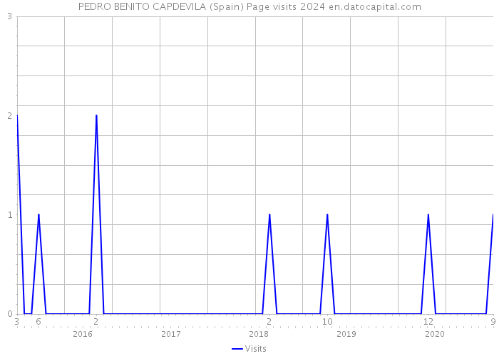 PEDRO BENITO CAPDEVILA (Spain) Page visits 2024 