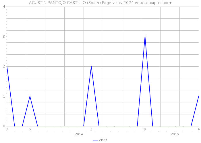 AGUSTIN PANTOJO CASTILLO (Spain) Page visits 2024 