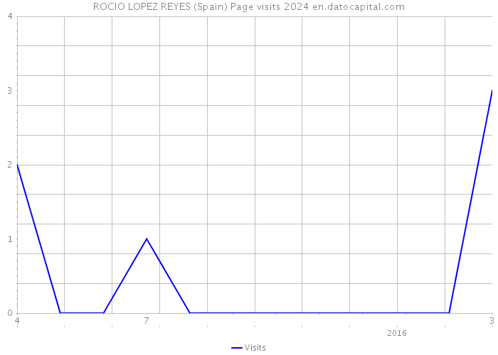 ROCIO LOPEZ REYES (Spain) Page visits 2024 