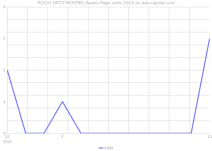 ROCIO ORTIZ MONTES (Spain) Page visits 2024 