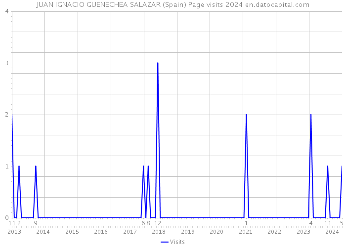 JUAN IGNACIO GUENECHEA SALAZAR (Spain) Page visits 2024 