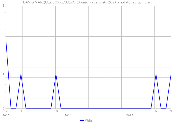 DAVID MARQUEZ BORREGUERO (Spain) Page visits 2024 