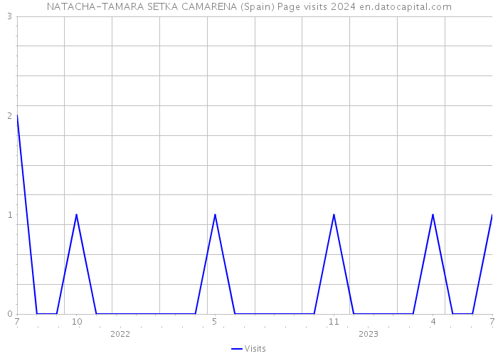 NATACHA-TAMARA SETKA CAMARENA (Spain) Page visits 2024 