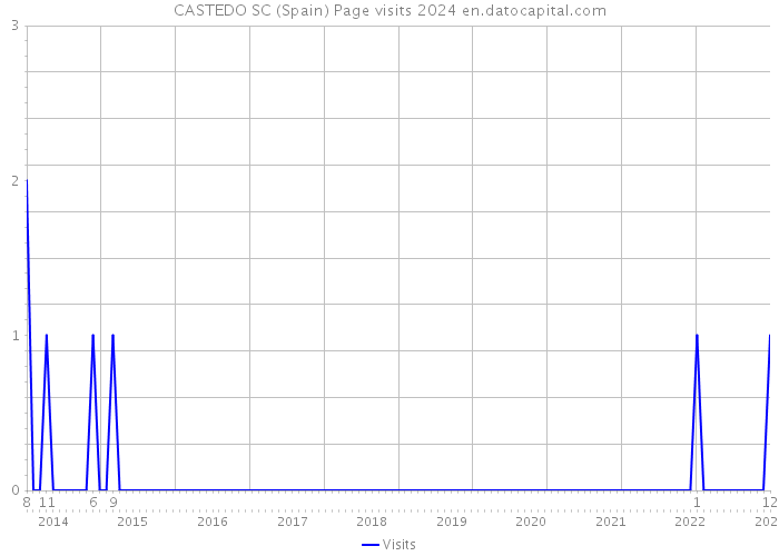 CASTEDO SC (Spain) Page visits 2024 