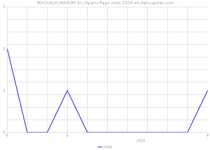 MAGUILUX MASURI S.L (Spain) Page visits 2024 