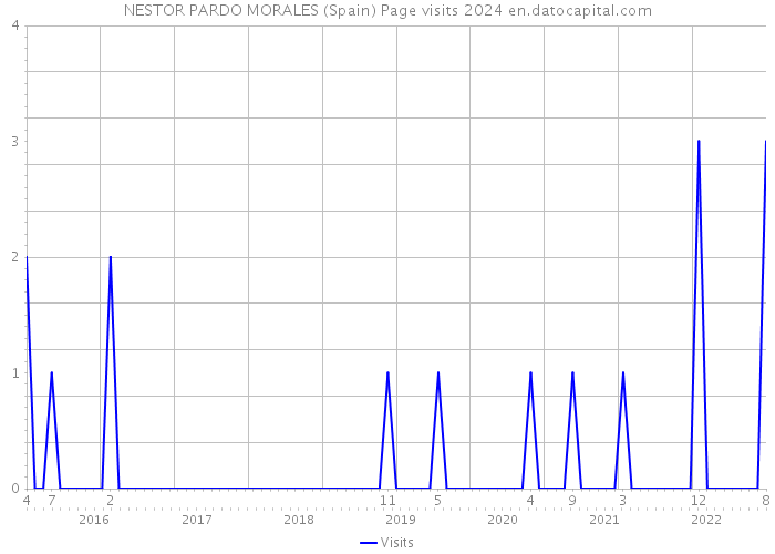 NESTOR PARDO MORALES (Spain) Page visits 2024 
