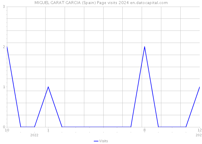 MIGUEL GARAT GARCIA (Spain) Page visits 2024 