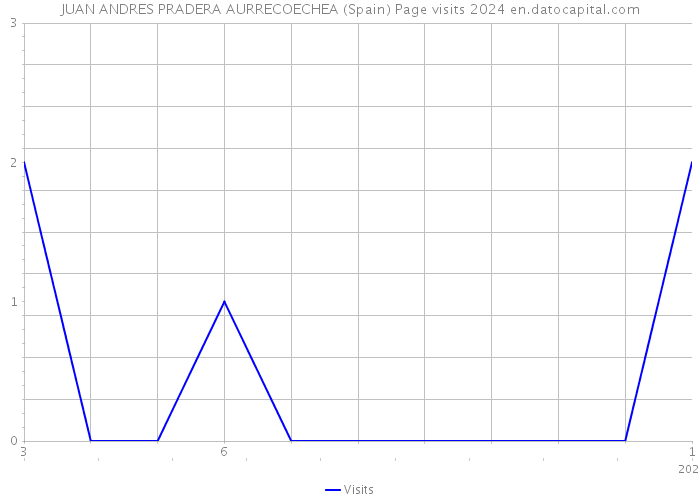 JUAN ANDRES PRADERA AURRECOECHEA (Spain) Page visits 2024 