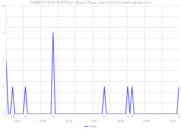 ROBERTO RUIZ BUSTILLO (Spain) Page visits 2024 