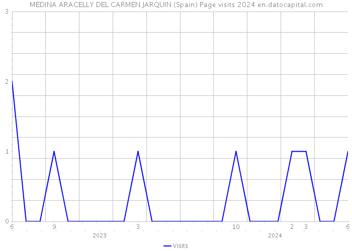 MEDINA ARACELLY DEL CARMEN JARQUIN (Spain) Page visits 2024 