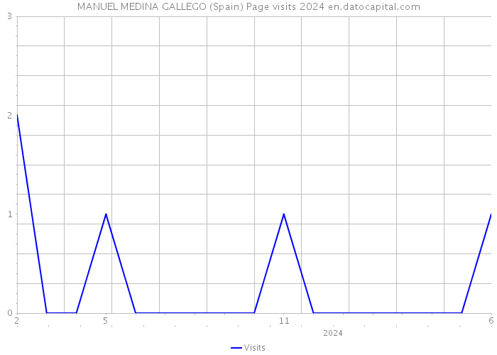 MANUEL MEDINA GALLEGO (Spain) Page visits 2024 