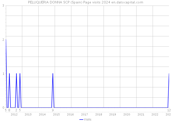 PELUQUERIA DONNA SCP (Spain) Page visits 2024 