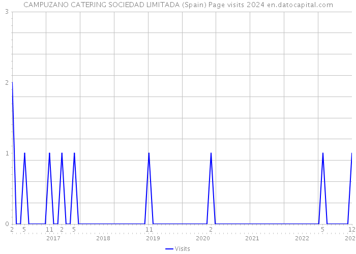 CAMPUZANO CATERING SOCIEDAD LIMITADA (Spain) Page visits 2024 