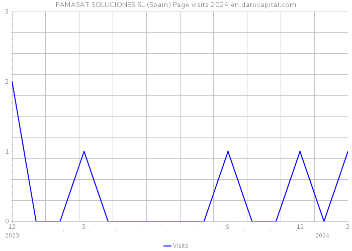 PAMASAT SOLUCIONES SL (Spain) Page visits 2024 