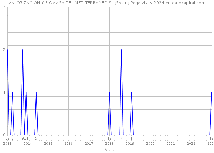 VALORIZACION Y BIOMASA DEL MEDITERRANEO SL (Spain) Page visits 2024 