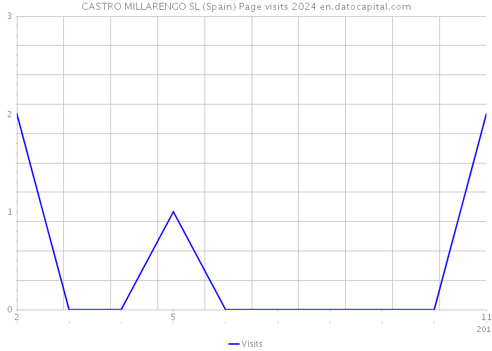 CASTRO MILLARENGO SL (Spain) Page visits 2024 