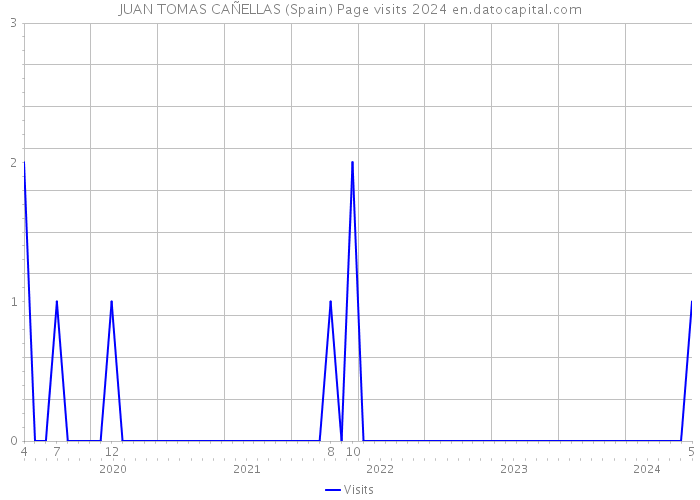 JUAN TOMAS CAÑELLAS (Spain) Page visits 2024 