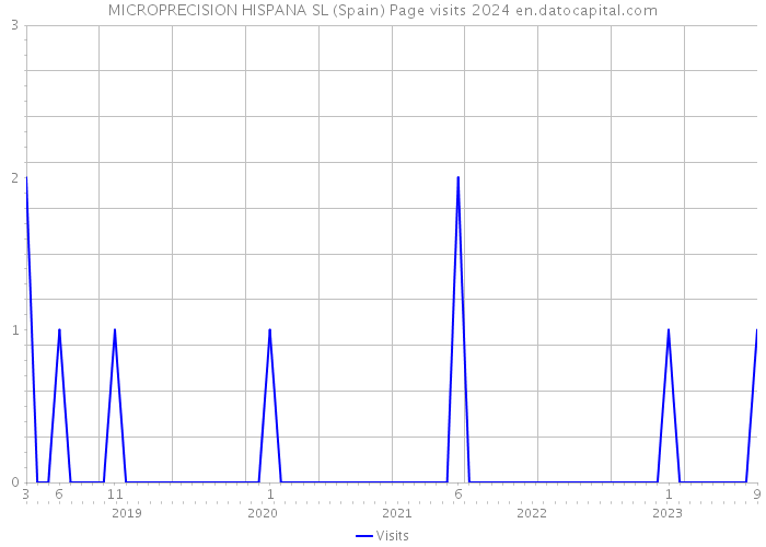 MICROPRECISION HISPANA SL (Spain) Page visits 2024 