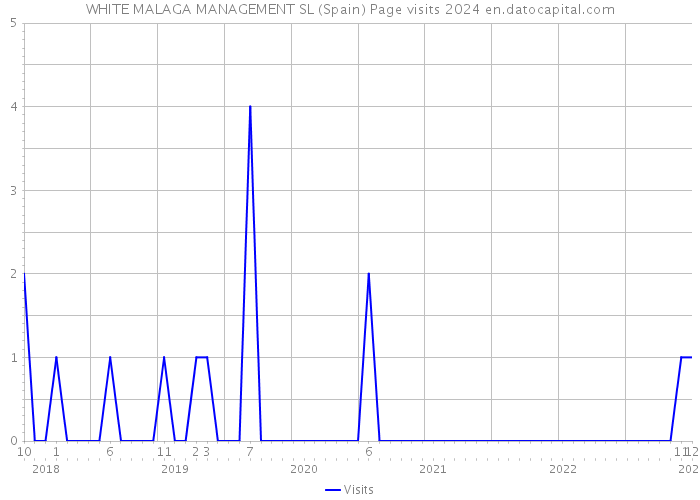WHITE MALAGA MANAGEMENT SL (Spain) Page visits 2024 