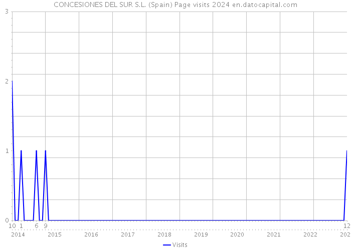 CONCESIONES DEL SUR S.L. (Spain) Page visits 2024 