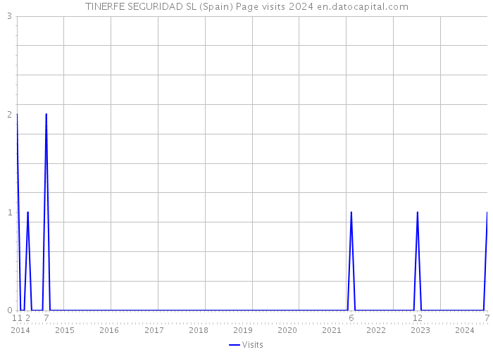 TINERFE SEGURIDAD SL (Spain) Page visits 2024 