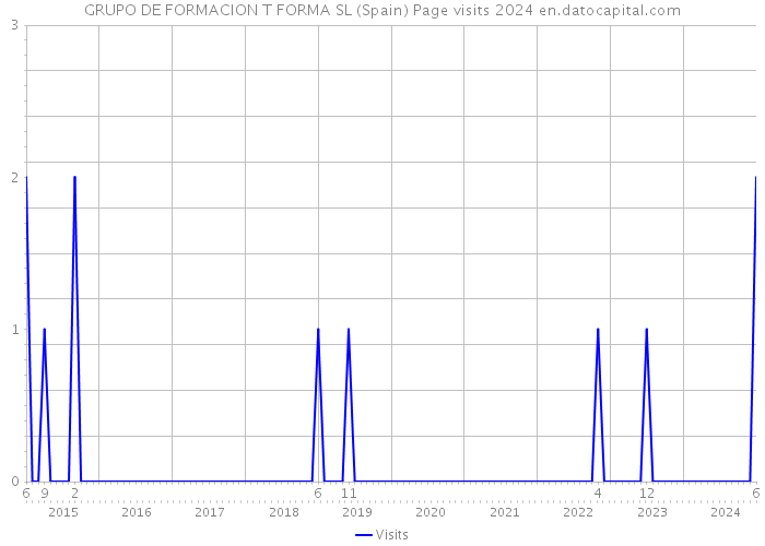 GRUPO DE FORMACION T FORMA SL (Spain) Page visits 2024 