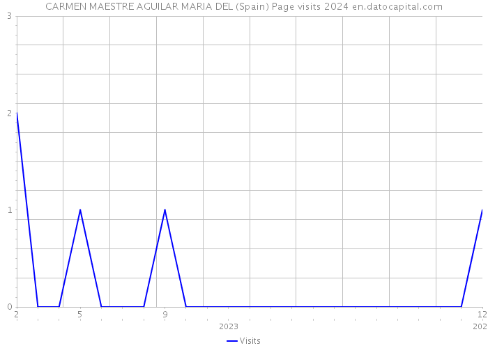 CARMEN MAESTRE AGUILAR MARIA DEL (Spain) Page visits 2024 