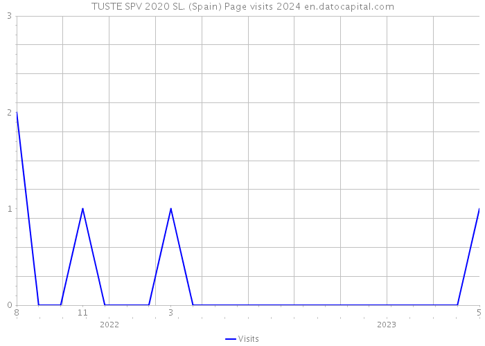 TUSTE SPV 2020 SL. (Spain) Page visits 2024 