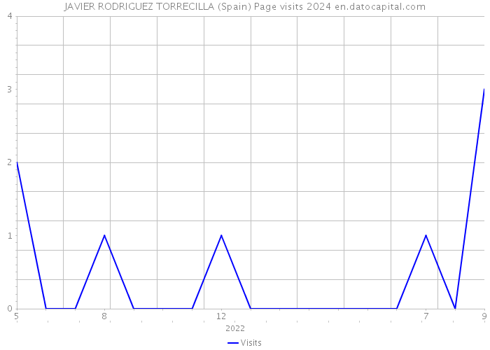 JAVIER RODRIGUEZ TORRECILLA (Spain) Page visits 2024 