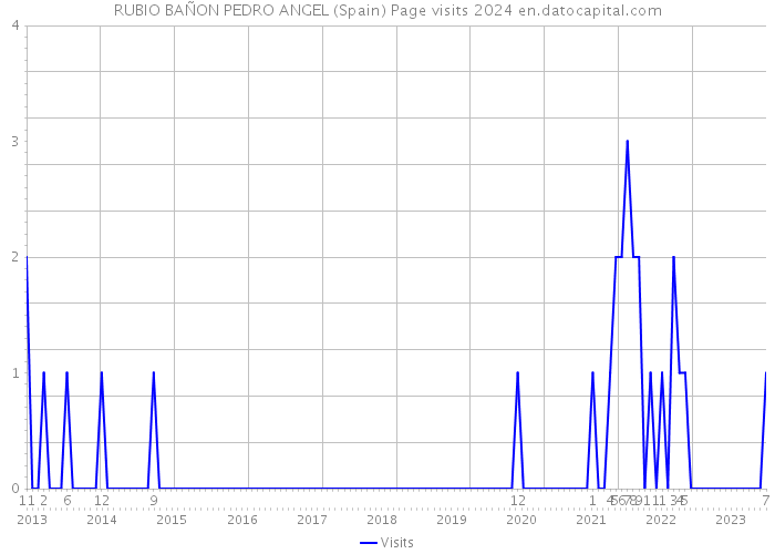 RUBIO BAÑON PEDRO ANGEL (Spain) Page visits 2024 