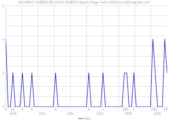 RICARDO CABEZA DE VACA OVIEDO (Spain) Page visits 2024 