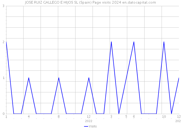 JOSE RUIZ GALLEGO E HIJOS SL (Spain) Page visits 2024 