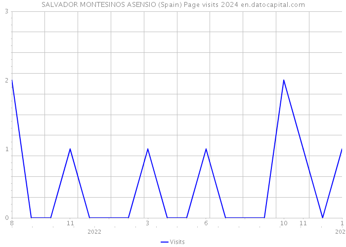 SALVADOR MONTESINOS ASENSIO (Spain) Page visits 2024 