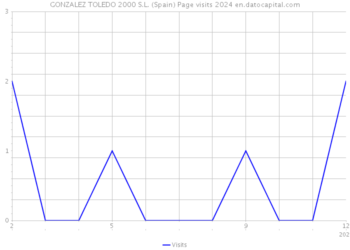 GONZALEZ TOLEDO 2000 S.L. (Spain) Page visits 2024 