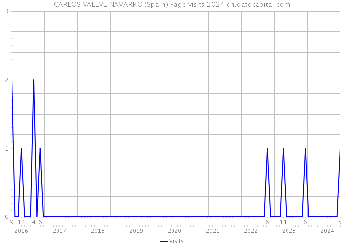 CARLOS VALLVE NAVARRO (Spain) Page visits 2024 