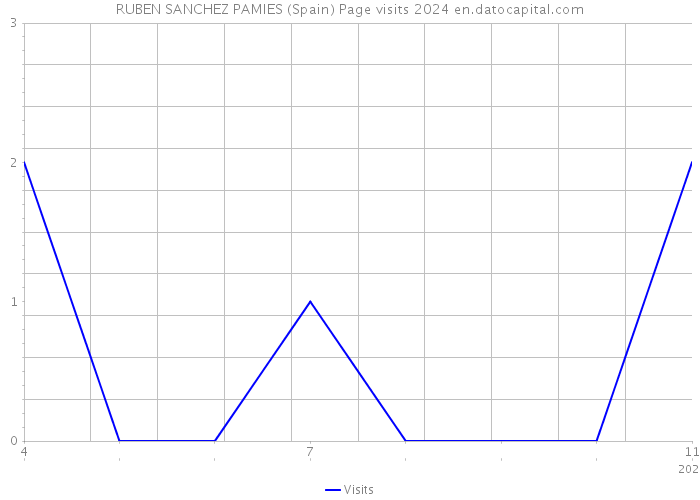 RUBEN SANCHEZ PAMIES (Spain) Page visits 2024 