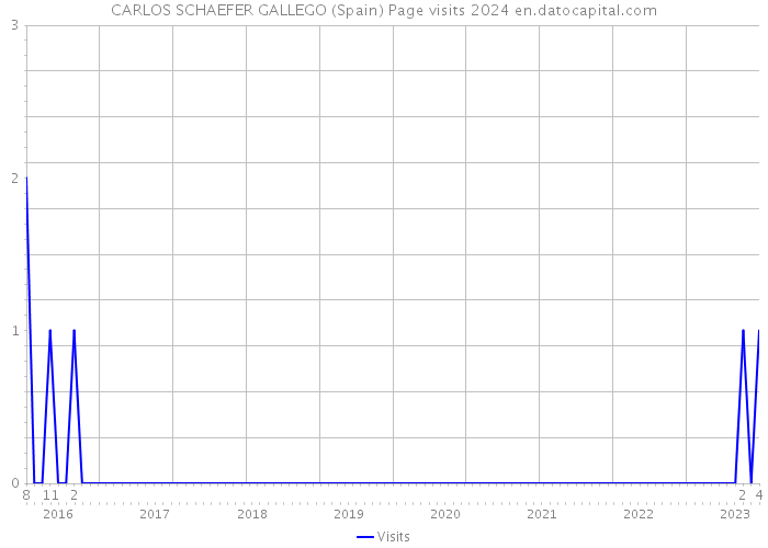 CARLOS SCHAEFER GALLEGO (Spain) Page visits 2024 