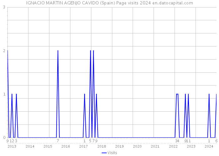 IGNACIO MARTIN AGENJO CAVIDO (Spain) Page visits 2024 