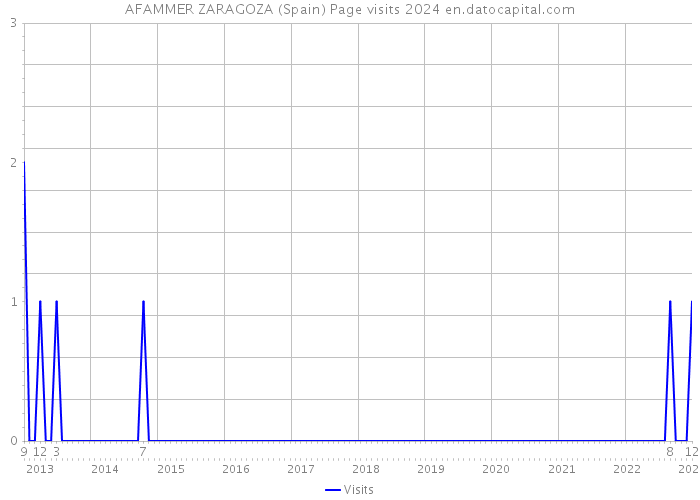 AFAMMER ZARAGOZA (Spain) Page visits 2024 