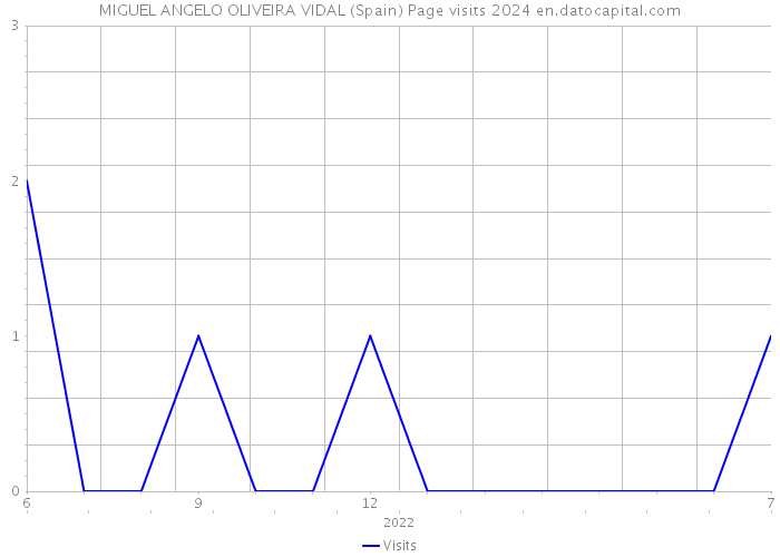 MIGUEL ANGELO OLIVEIRA VIDAL (Spain) Page visits 2024 