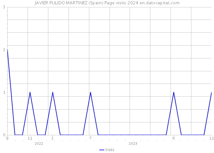 JAVIER PULIDO MARTINEZ (Spain) Page visits 2024 