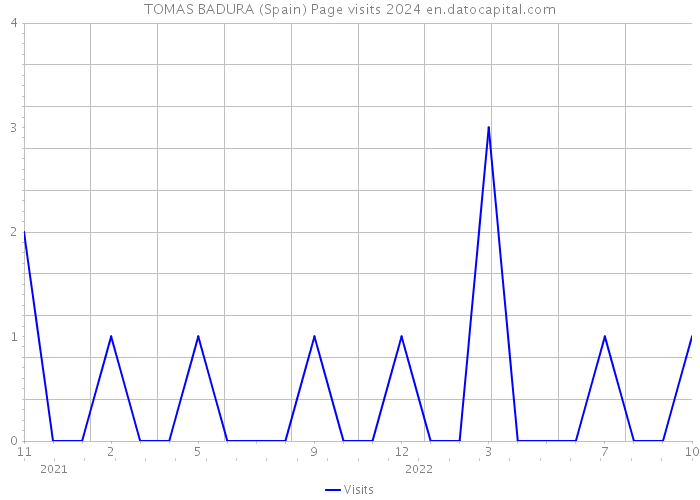 TOMAS BADURA (Spain) Page visits 2024 