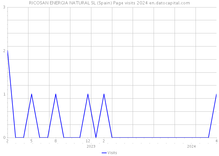 RICOSAN ENERGIA NATURAL SL (Spain) Page visits 2024 