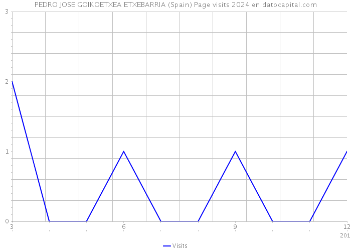 PEDRO JOSE GOIKOETXEA ETXEBARRIA (Spain) Page visits 2024 