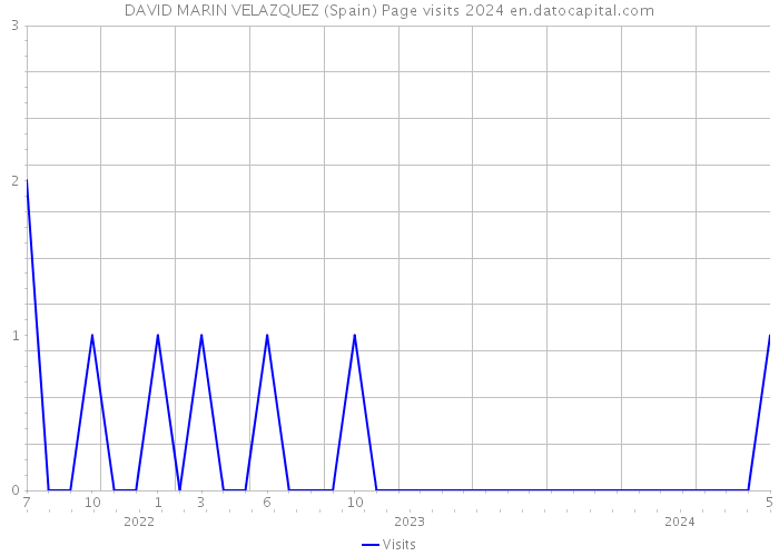 DAVID MARIN VELAZQUEZ (Spain) Page visits 2024 