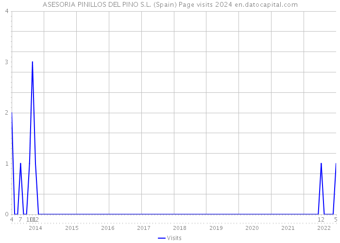 ASESORIA PINILLOS DEL PINO S.L. (Spain) Page visits 2024 