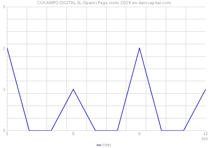COCAMPO DIGITAL SL (Spain) Page visits 2024 