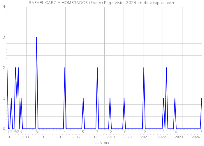 RAFAEL GARCIA HOMBRADOS (Spain) Page visits 2024 