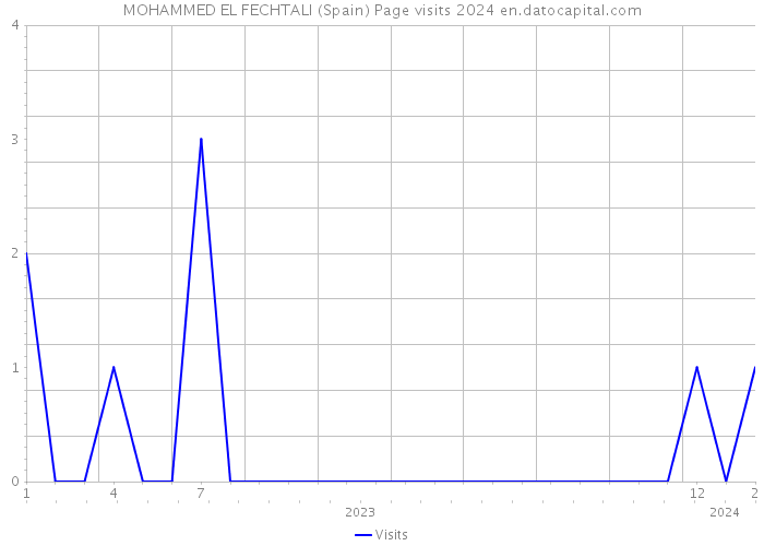 MOHAMMED EL FECHTALI (Spain) Page visits 2024 