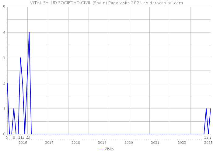 VITAL SALUD SOCIEDAD CIVIL (Spain) Page visits 2024 